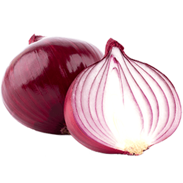 Onion Food icon